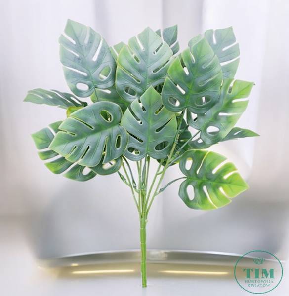 MONSTERA BUKIET EV273 MIX KOLOR 