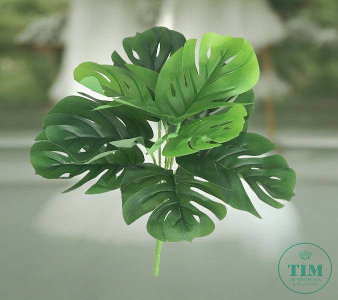 MONSTERA BUKIET EV273 MIX KOLOR 