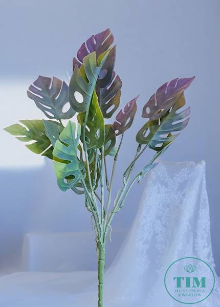 MONSTERA BUKIET EV273 MIX KOLOR 