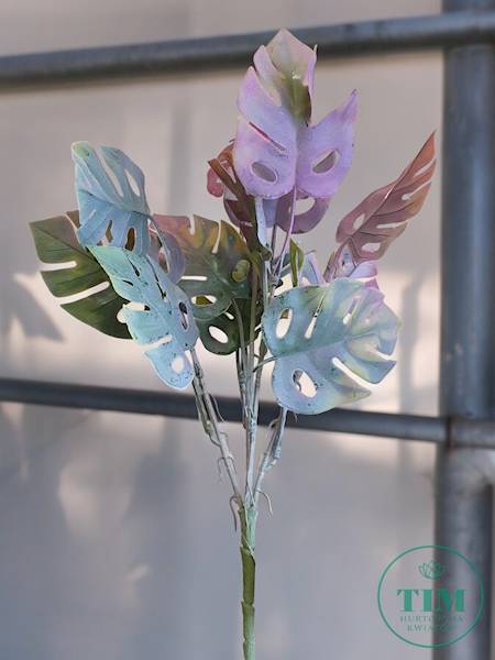 MONSTERA BUKIET EV273 MIX KOLOR 