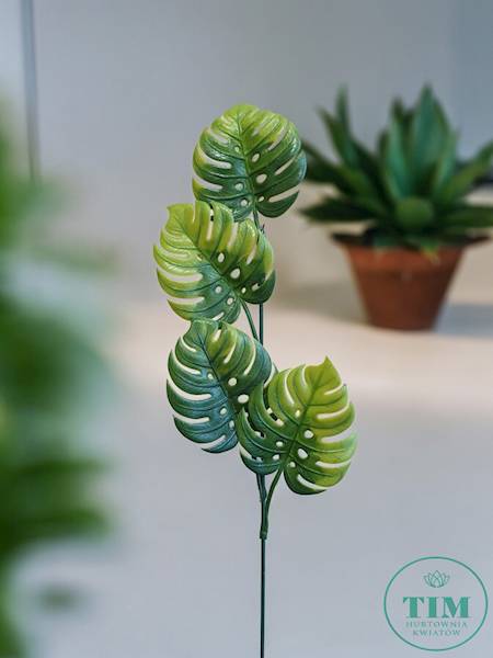 DODATEK MONSTERA X12 Z615 ZIELONY