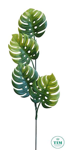 DODATEK MONSTERA X12 Z615 ZIELONY