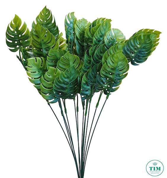 DODATEK MONSTERA X12 Z615 ZIELONY