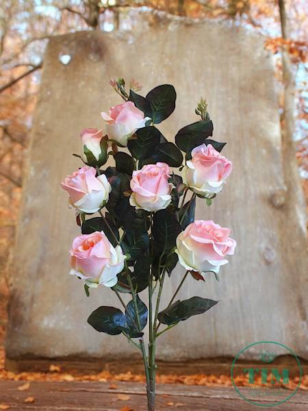 RÓŻA BUKIET T9734 MIX4 MIX KOLOR