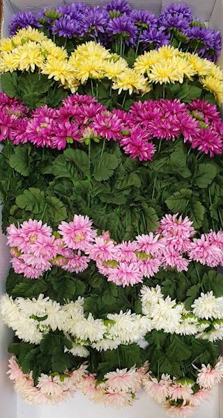 ASTER BUKIET SUN811 MIX2 MIX KOLOR