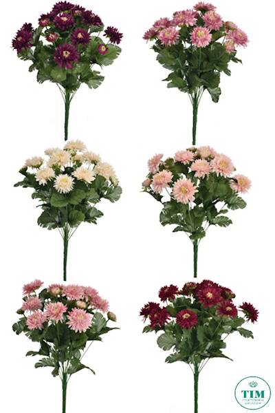 ASTER BUKIET SUN811 MIX3 MIX KOLOR