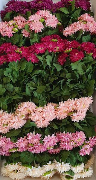 ASTER BUKIET SUN811 MIX3 MIX KOLOR