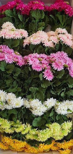 ASTER BUKIET SUN811 MIX1 MIX KOLOR