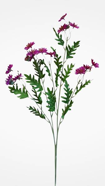 ASTER GAŁĄZKA SUN303 FUKSJA