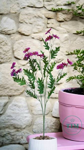 ASTER GAŁĄZKA SUN303 FUKSJA