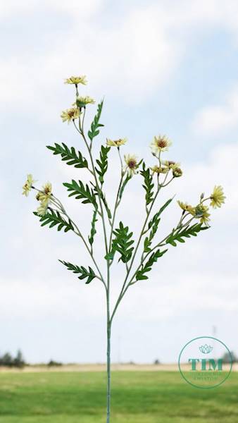 ASTER GAŁĄZKA SUN303 CYTRYNOWY
