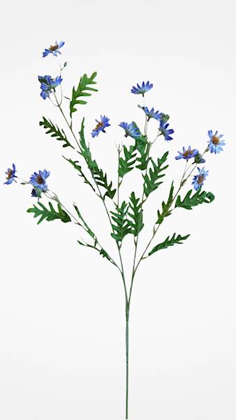ASTER GAŁĄZKA SUN303 FIOLETOWO NIEBIESKI