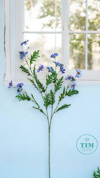 ASTER GAŁĄZKA SUN303 FIOLETOWO NIEBIESKI