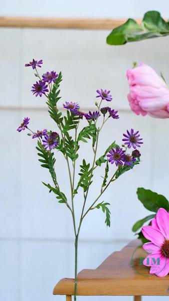 ASTER GAŁĄZKA SUN303 PURPUROWY