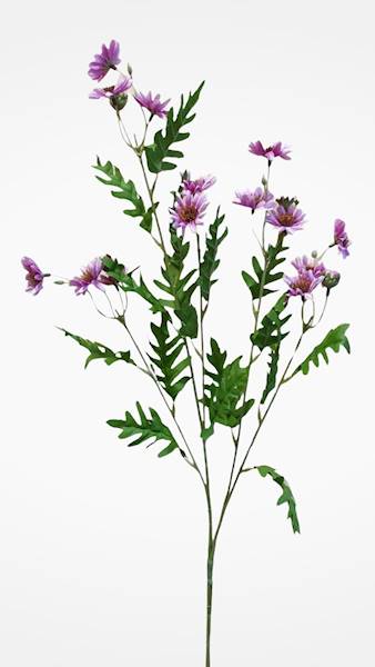 ASTER GAŁĄZKA SUN303 RÓŻOWY