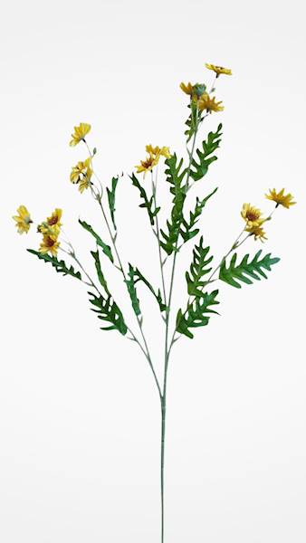 ASTER GAŁĄZKA SUN303 ŻÓŁTY