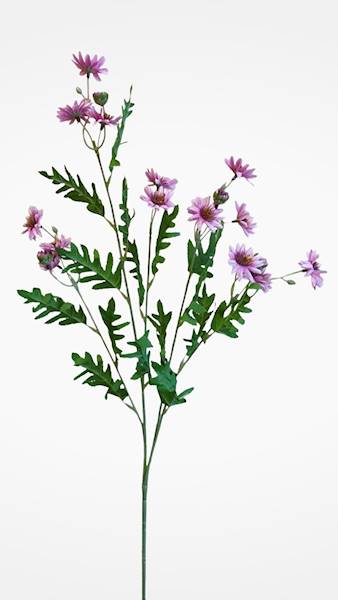 ASTER GAŁĄZKA SUN303 RÓŻOWY