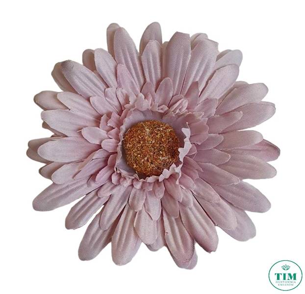 GERBERA WYROBOWA X24 SUN754 BEŻOWY