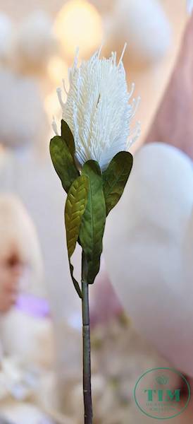 PROTEA GAŁĄZKA T194230706 MIX KOLOR