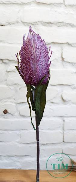 PROTEA GAŁĄZKA T194230706 MIX KOLOR