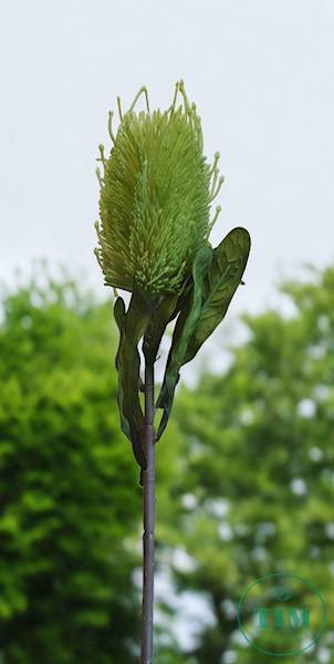 PROTEA GAŁĄZKA T194230706 MIX KOLOR