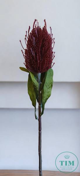 PROTEA GAŁĄZKA T194230706 MIX KOLOR