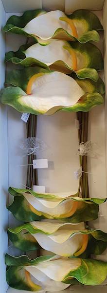 ANTHURIUM GAŁĄZKA GUMOWANE YD337 BIAŁO ZIELONE