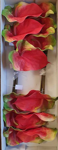 ANTHURIUM GAŁĄZKA GUMOWANE YD337 CZERWONY
