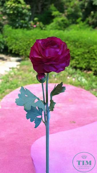 PEŁNIK GAŁĄZKA GUMOWANY REN2003 PURPUROWY