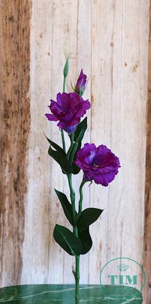 EUSTOMA GAŁĄZKA SUN377 FIOLETOWY