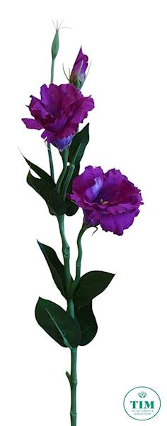 EUSTOMA GAŁĄZKA SUN377 FIOLETOWY