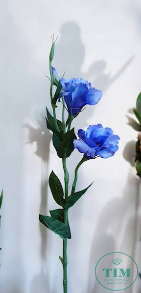 EUSTOMA GAŁĄZKA SUN377 NIEBIESKI