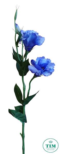 EUSTOMA GAŁĄZKA SUN377 NIEBIESKI