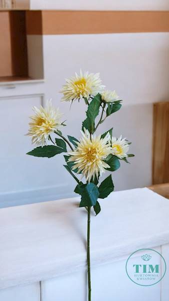 ASTER GAŁĄZKA SUN662 ŻÓŁTY