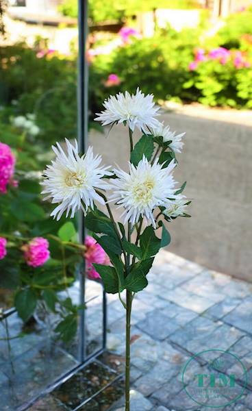 ASTER GAŁĄZKA SUN662 KREMOWY