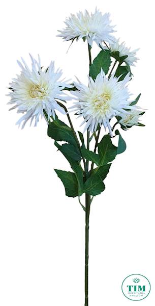 ASTER GAŁĄZKA SUN662 KREMOWY