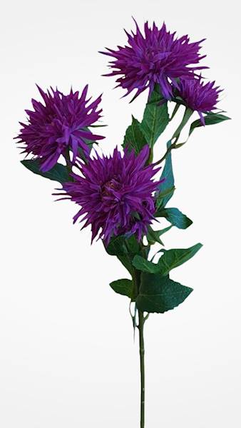 ASTER GAŁĄZKA SUN662 FIOLETOWY