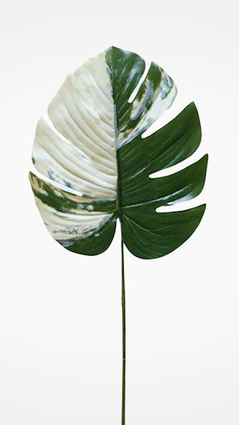 LIŚĆ MONSTERA GUMOWANY X12 VIP3996 ZIELONY BIAŁY