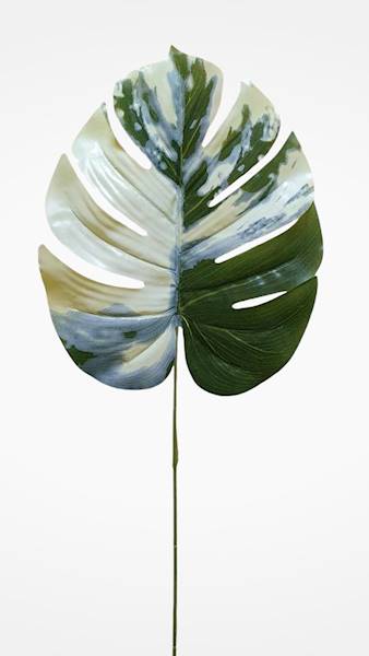 LIŚĆ MONSTERA GUMOWANY X12 VIP3995 ZIELONY BIAŁY