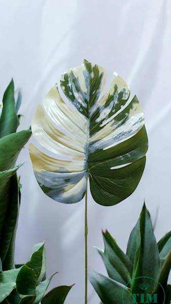 LIŚĆ MONSTERA GUMOWANY X12 VIP3995 ZIELONY BIAŁY