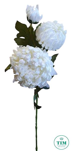 CHRYZANTEMA GAŁĄZKA VIP6461FG004 BIAŁY