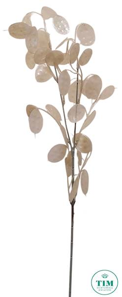 LUNARIA GAŁĄZKA XTIK068 KREMOWY