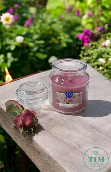 ŚWIECA ZAPACHOWA W SZKLE SND71254 OGRÓD SPA