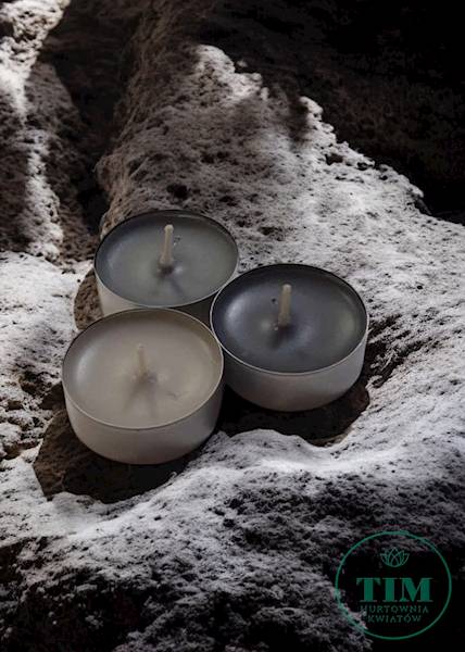 TEALIGHT ZAPACHOWY X18 P1518313 GROTA SOLNA