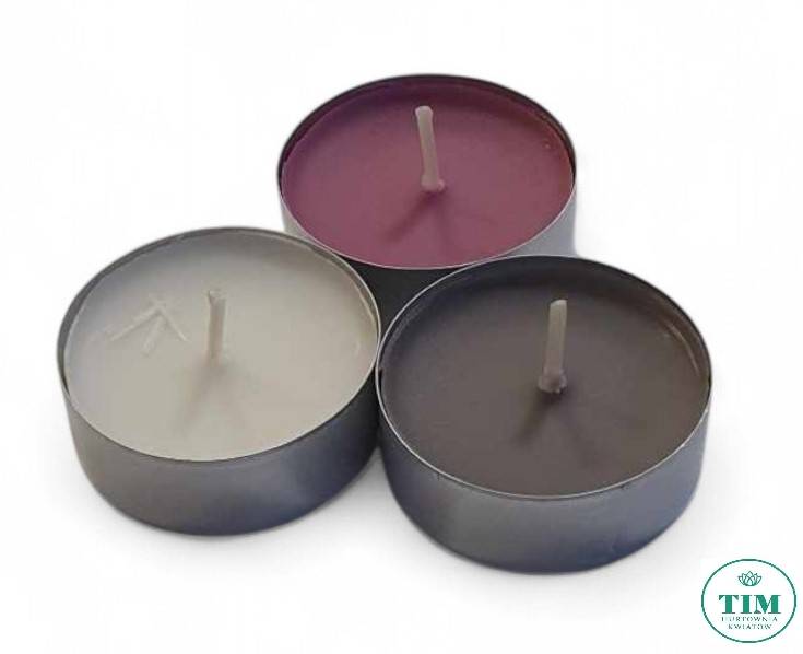 TEALIGHT ZAPACHOWY X18 P1518254 OGRÓD SPA
