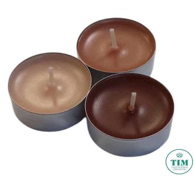 TEALIGHT ZAPACHOWY X18 P151865 CYNAMON