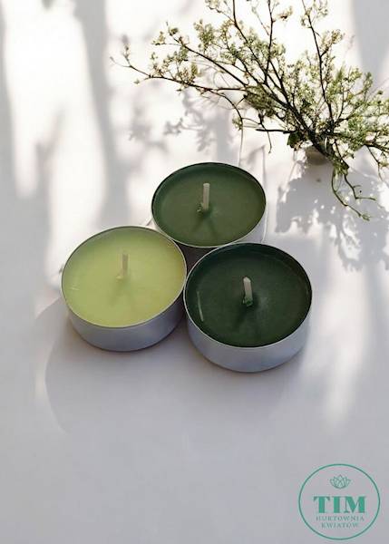 TEALIGHT ZAPACHOWY X18 P1518273 JODŁA