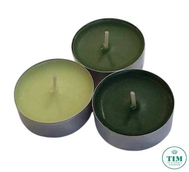 TEALIGHT ZAPACHOWY X18 P1518273 JODŁA
