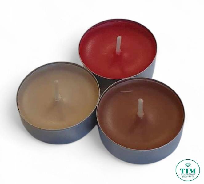 TEALIGHT ZAPACHOWY X18 P151887 JABŁKO CYNAMON