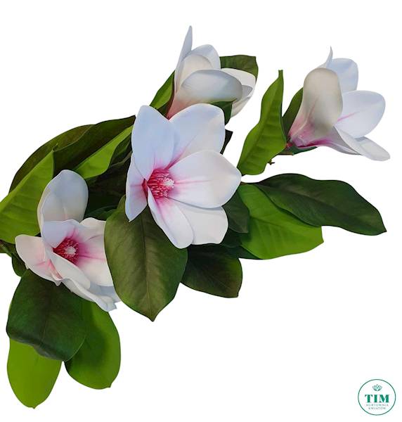 MAGNOLIA GAŁĄZKA GUMOWANA MAG1001 BIAŁY RÓŻOWY 